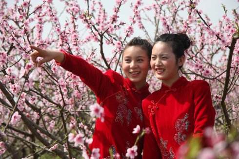 學(xué)生(sheng)春遊活動(dòng)1天--龍泉看桃花(huā)