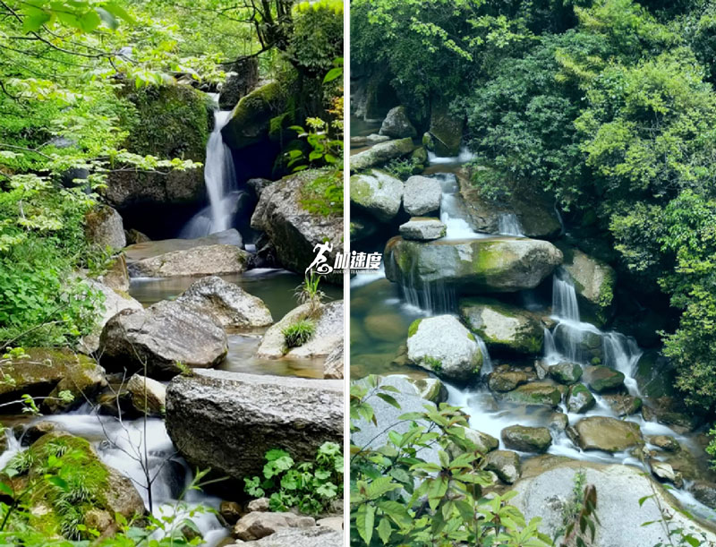 大(da)邑龍窩子(zi) (2).jpg